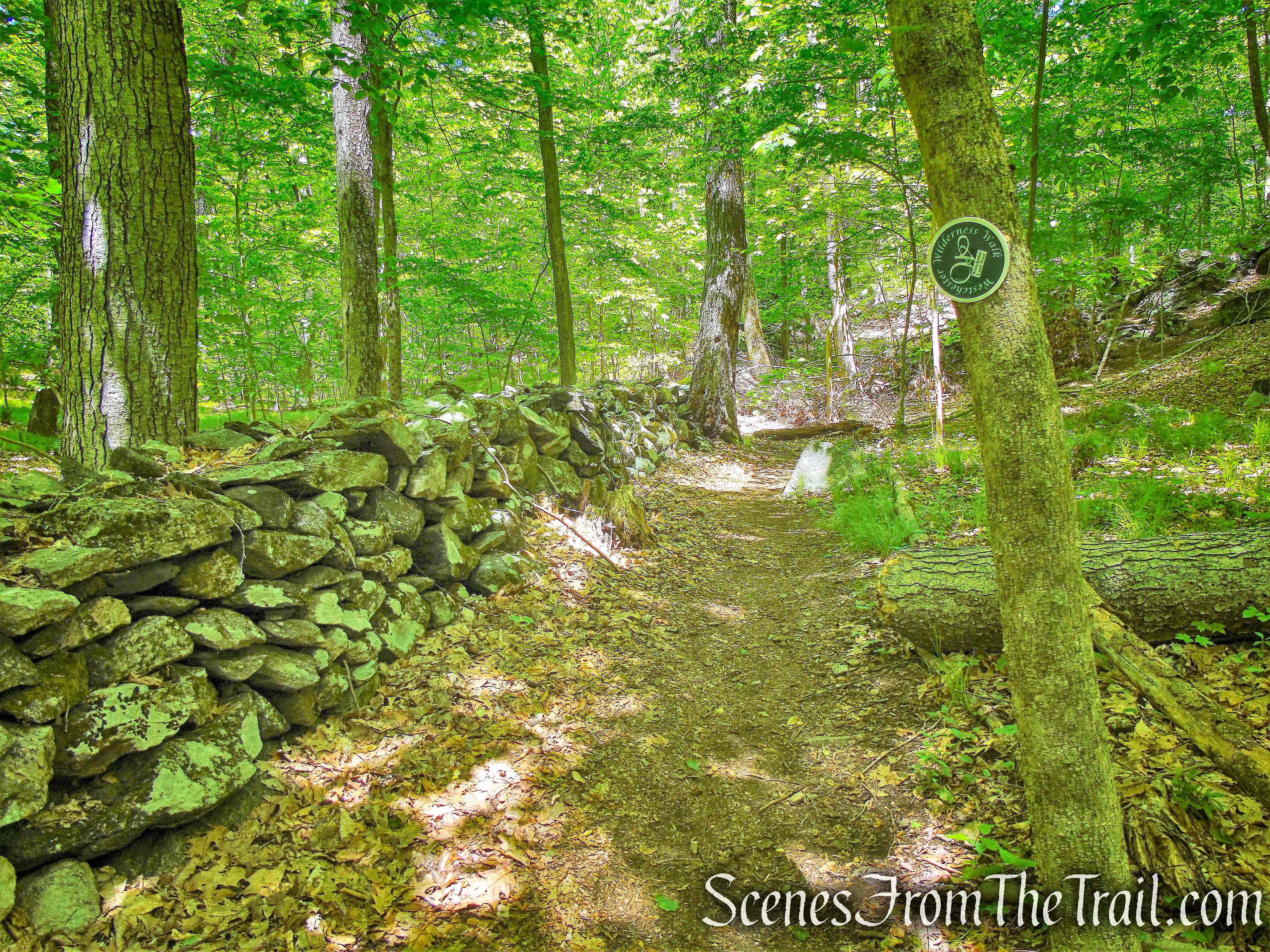 Northern Loop - Westchester Wilderness Walk