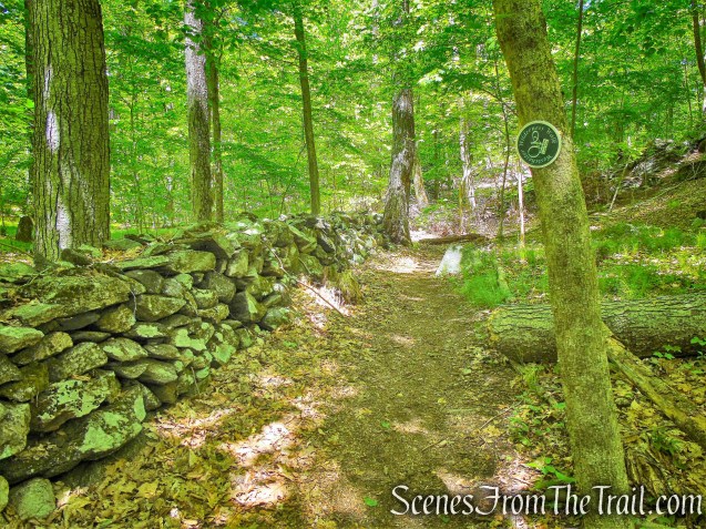 Northern Loop - Westchester Wilderness Walk