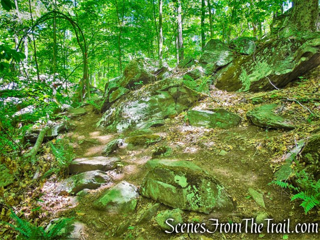 Northern Loop - Westchester Wilderness Walk