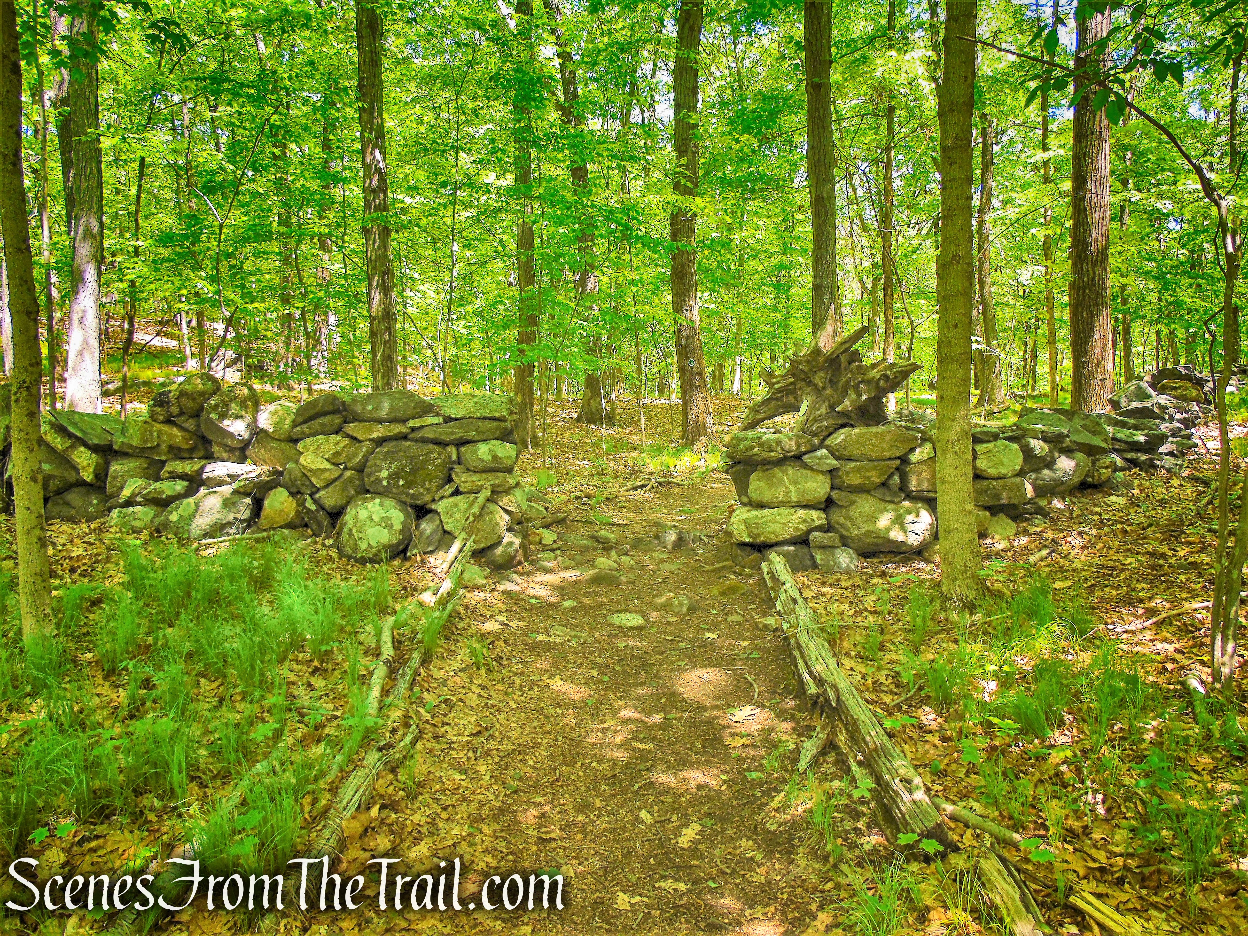 Northern Loop - Westchester Wilderness Walk