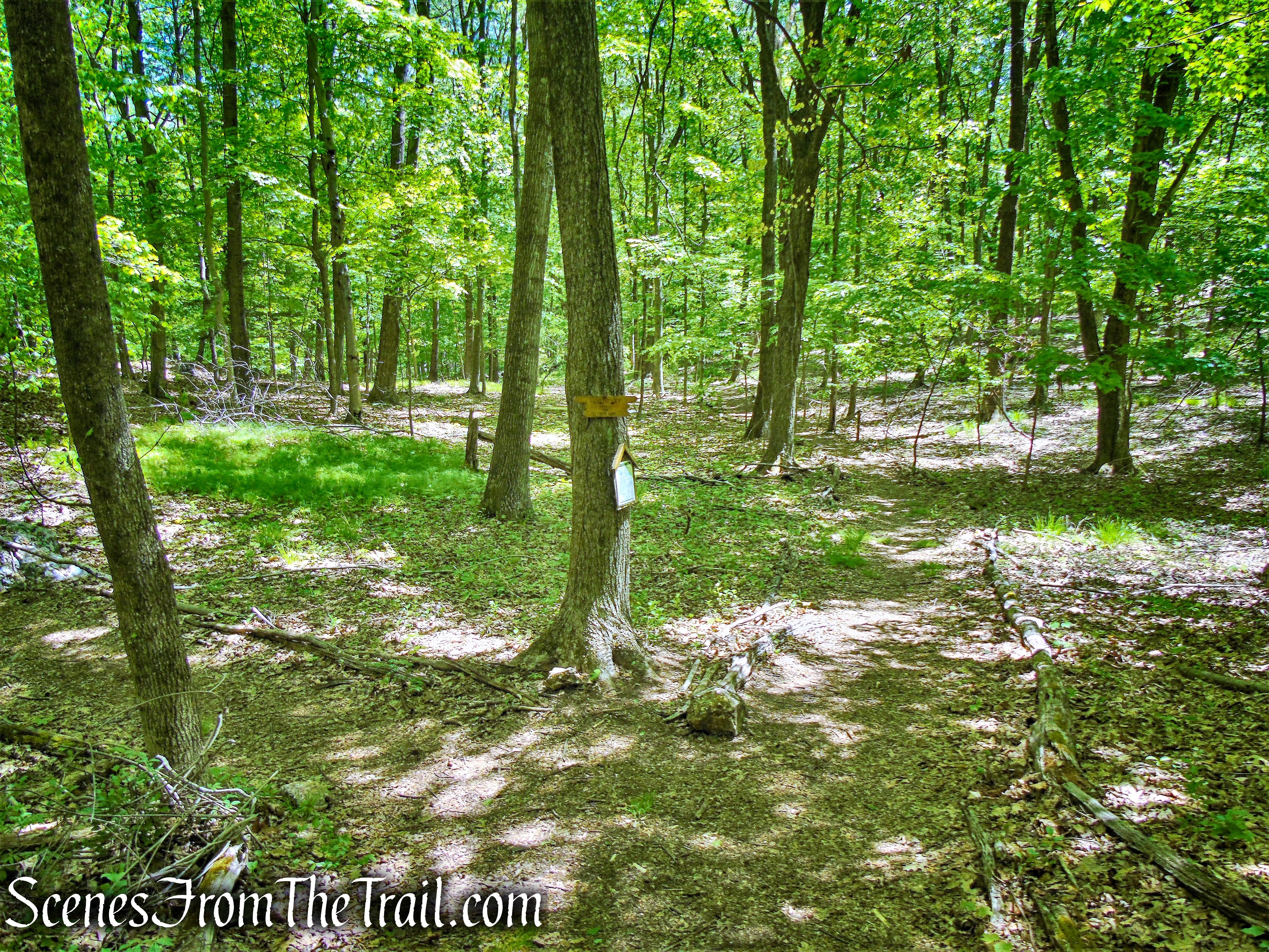 Northern Loop - Westchester Wilderness Walk