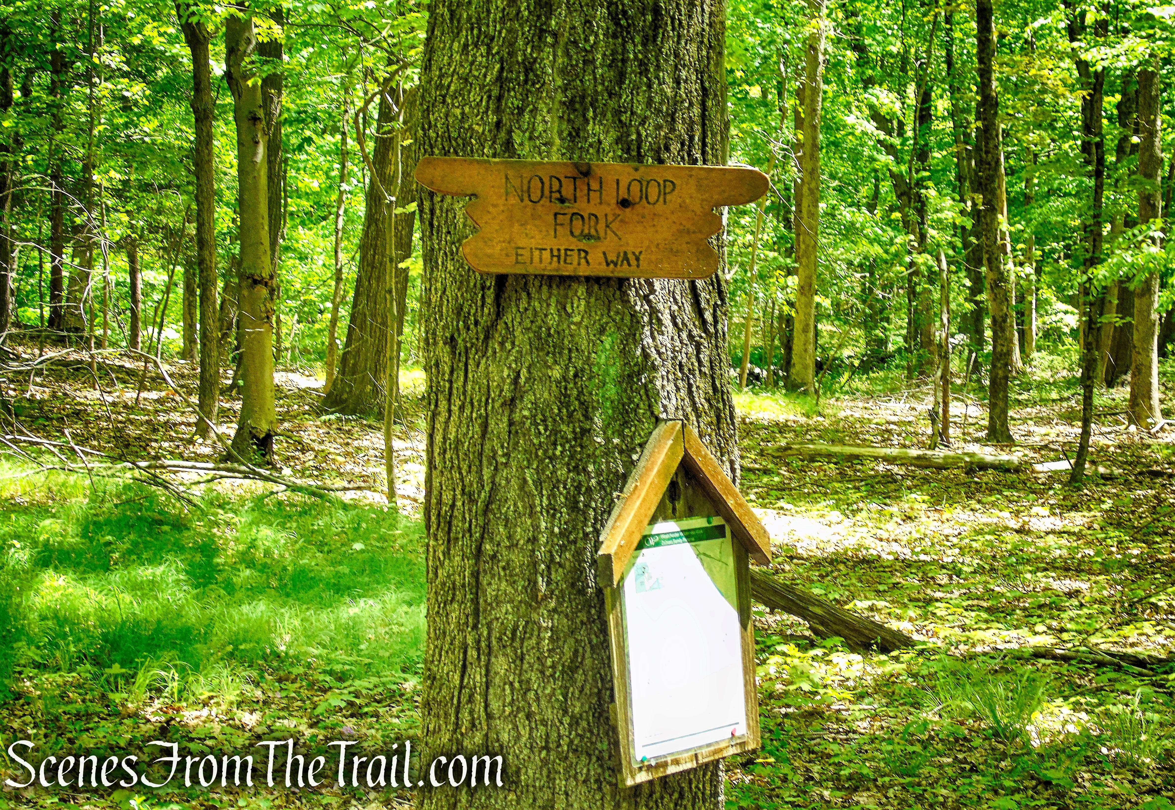 Northern Loop - Westchester Wilderness Walk