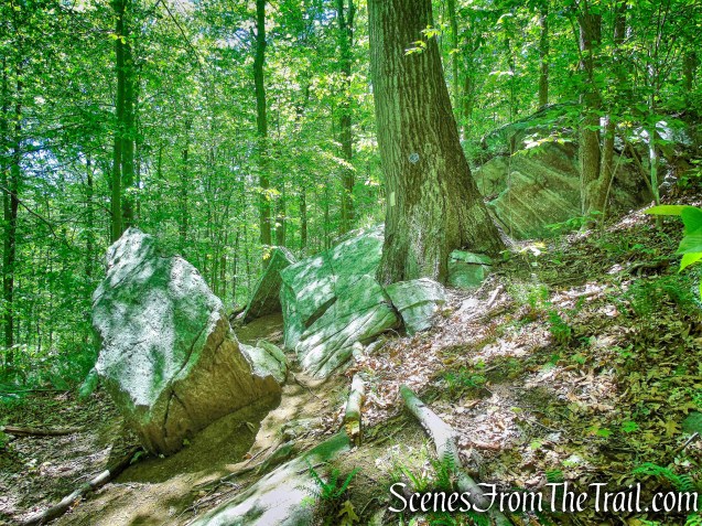 Awesome Oak - Northern Loop 