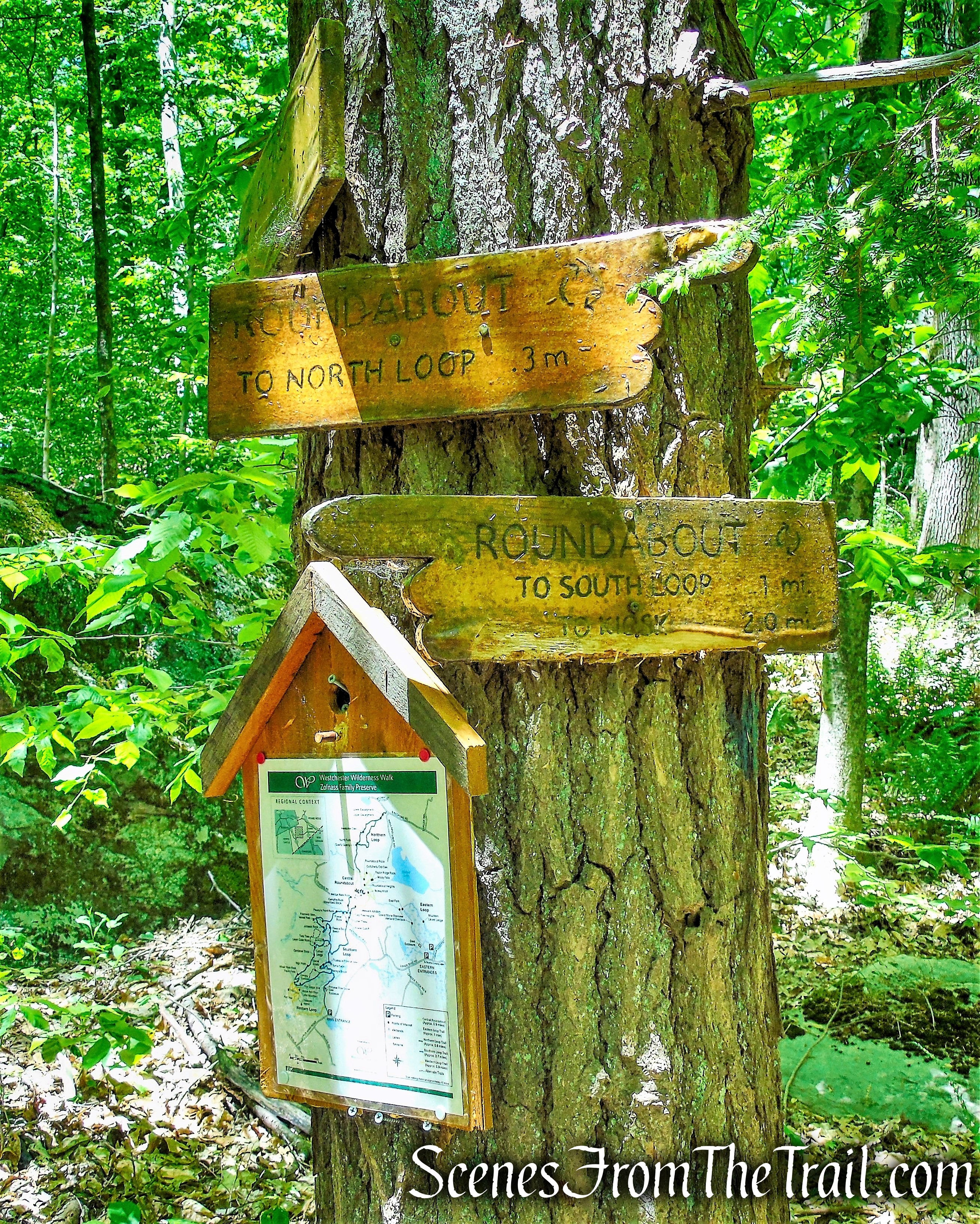 Westchester Wilderness Walk - Zofnass Family Preserve