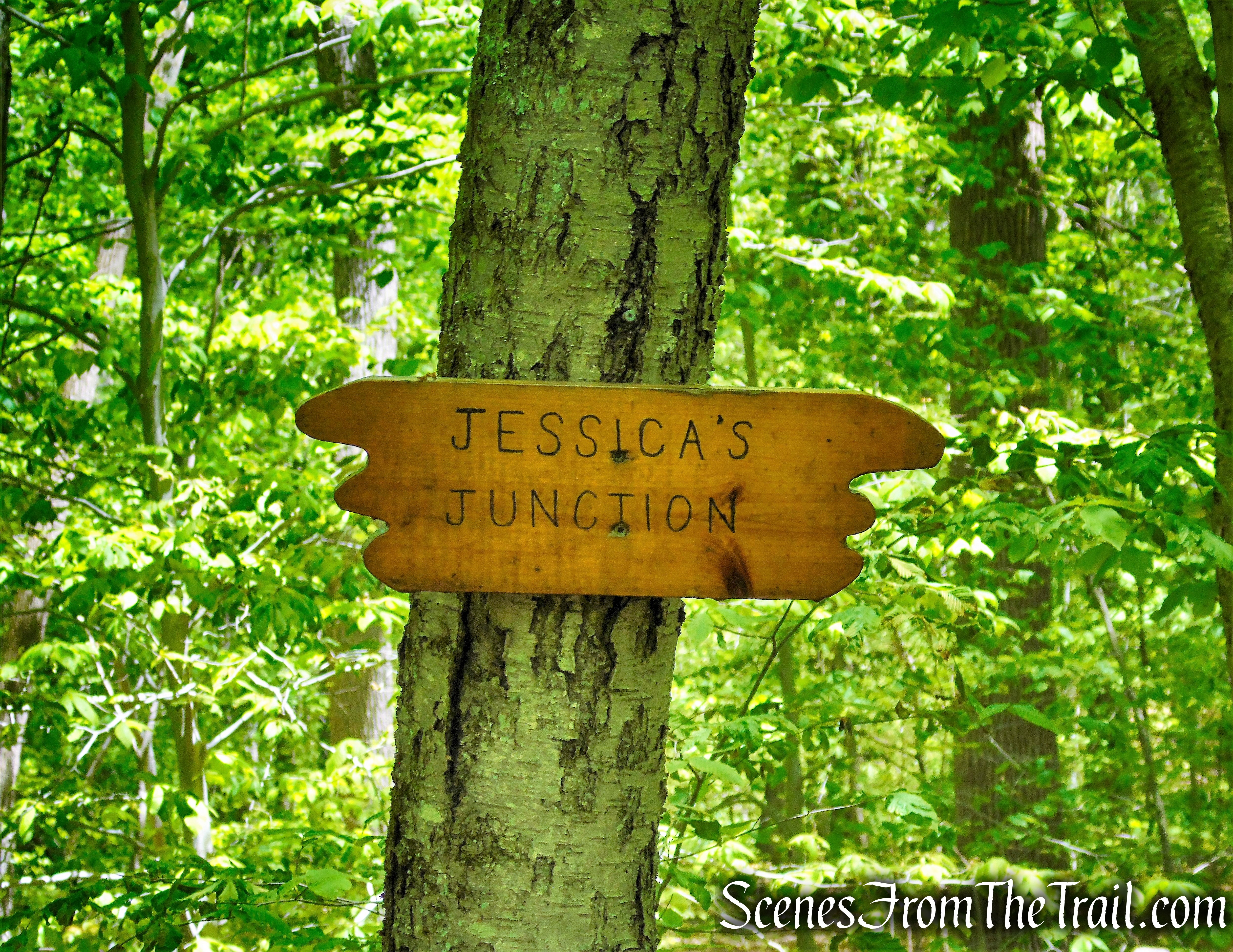 Jessica's Junction - Westchester Wilderness Walk