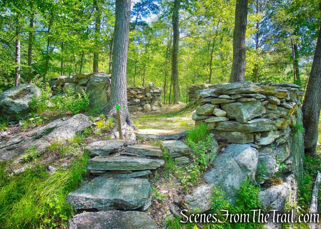 arboretum - Southern Loop