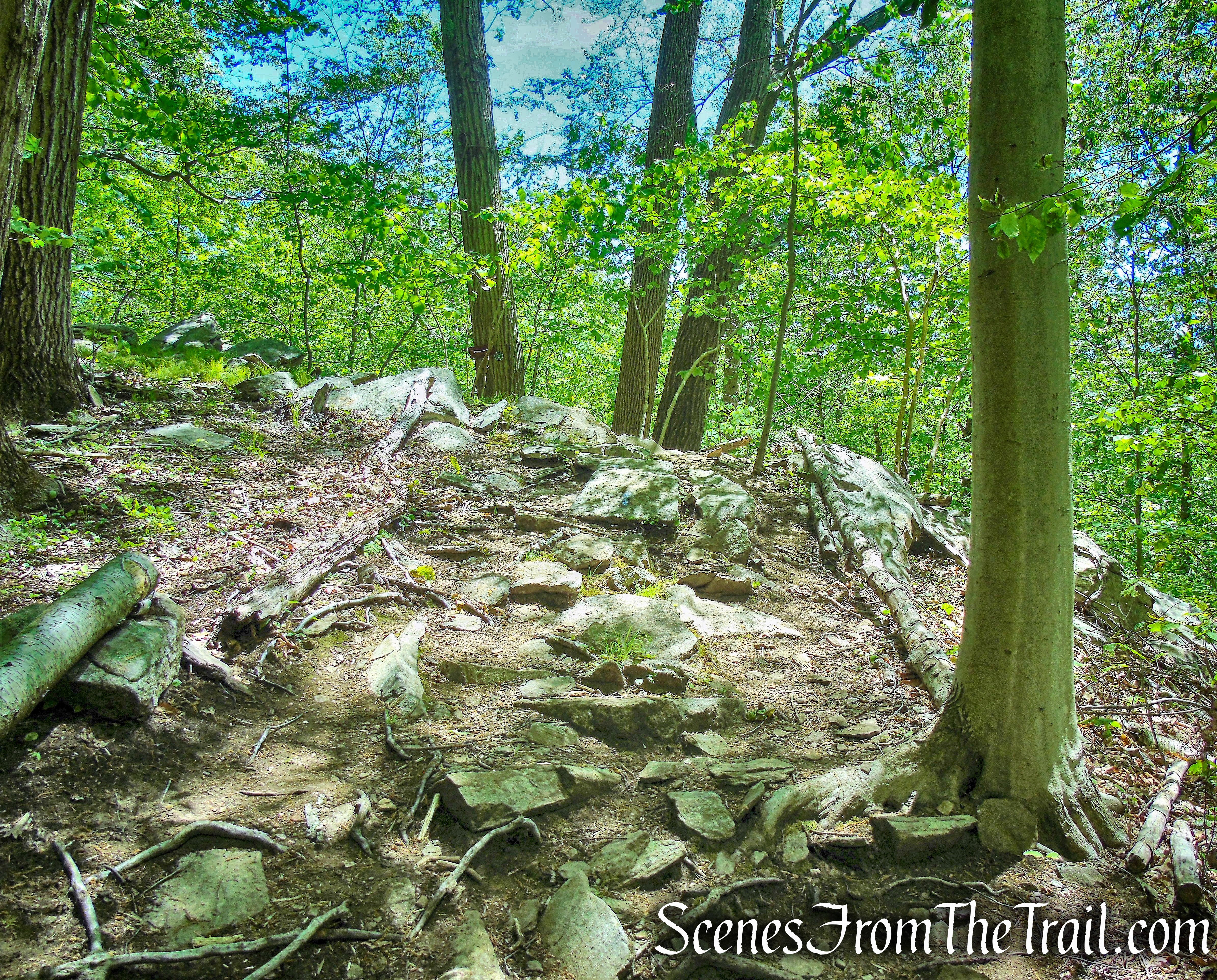 Trudeau’s Point of View - Southern Loop