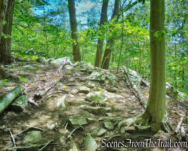 Trudeau’s Point of View - Southern Loop