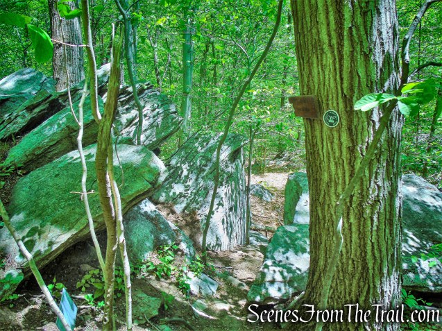 Trudeau’s Point of View - Southern Loop