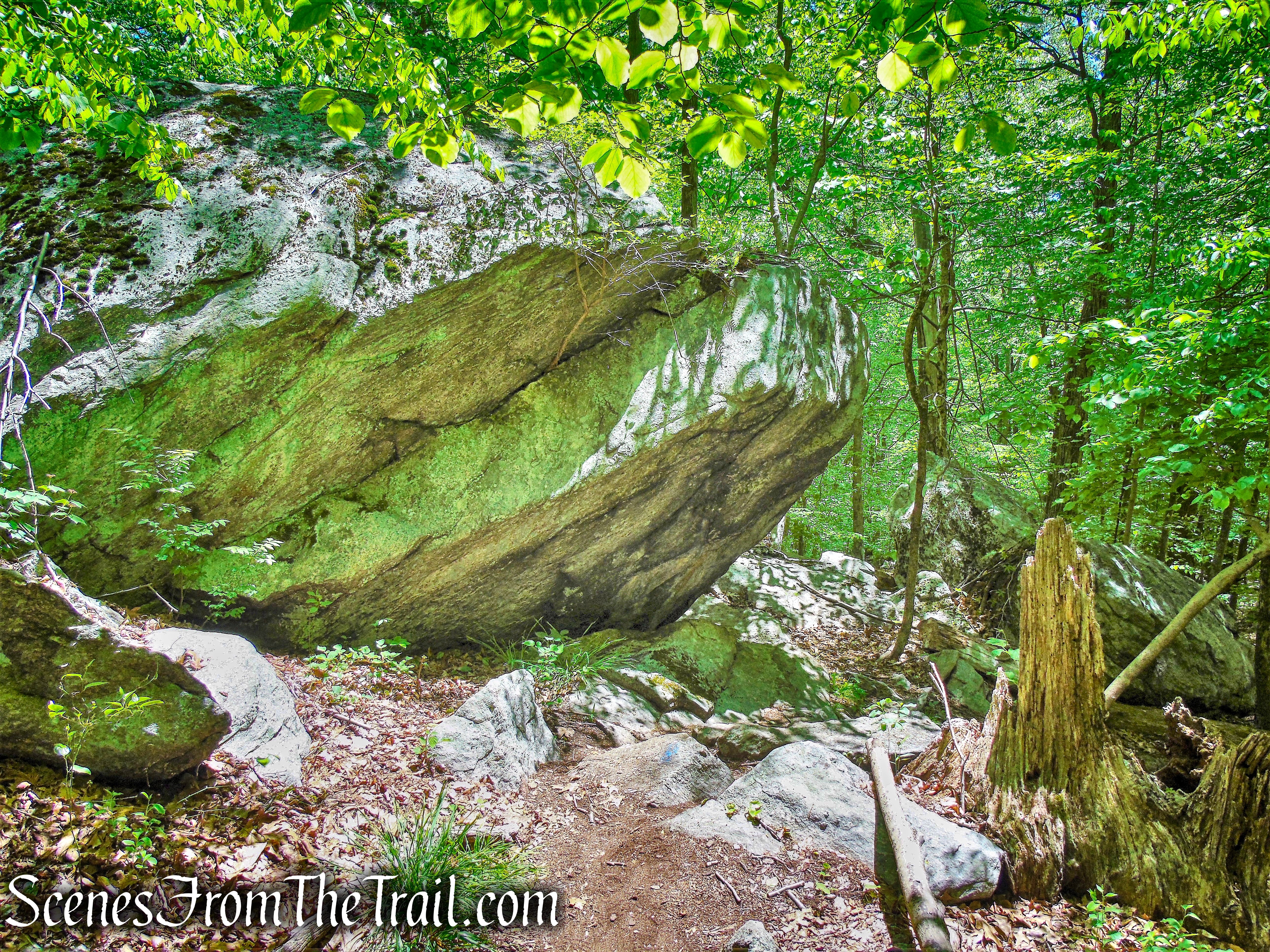 Southern Loop - Westchester Wilderness Walk