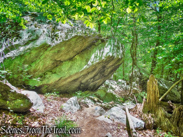 Southern Loop - Westchester Wilderness Walk