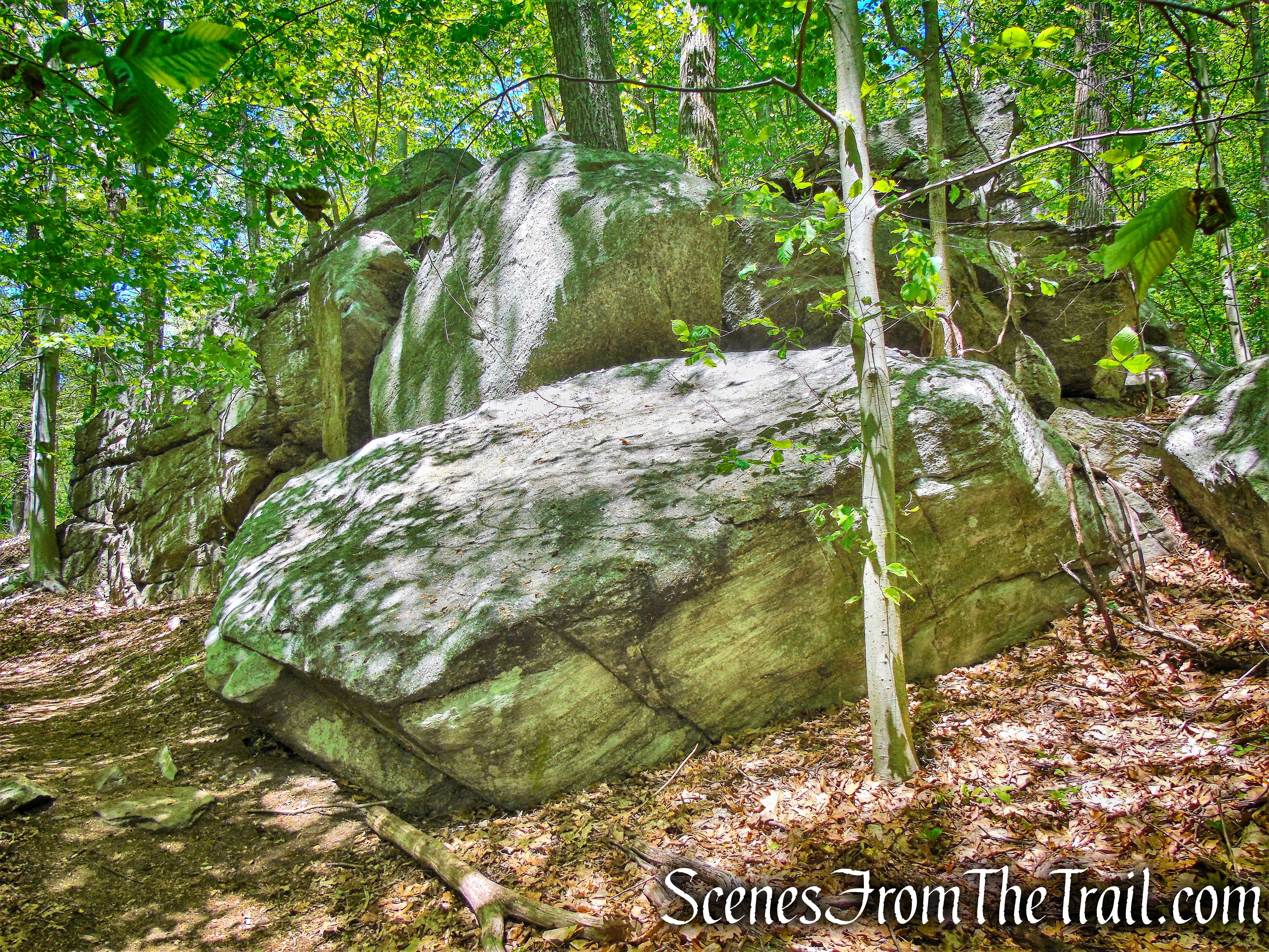 Southern Loop - Westchester Wilderness Walk