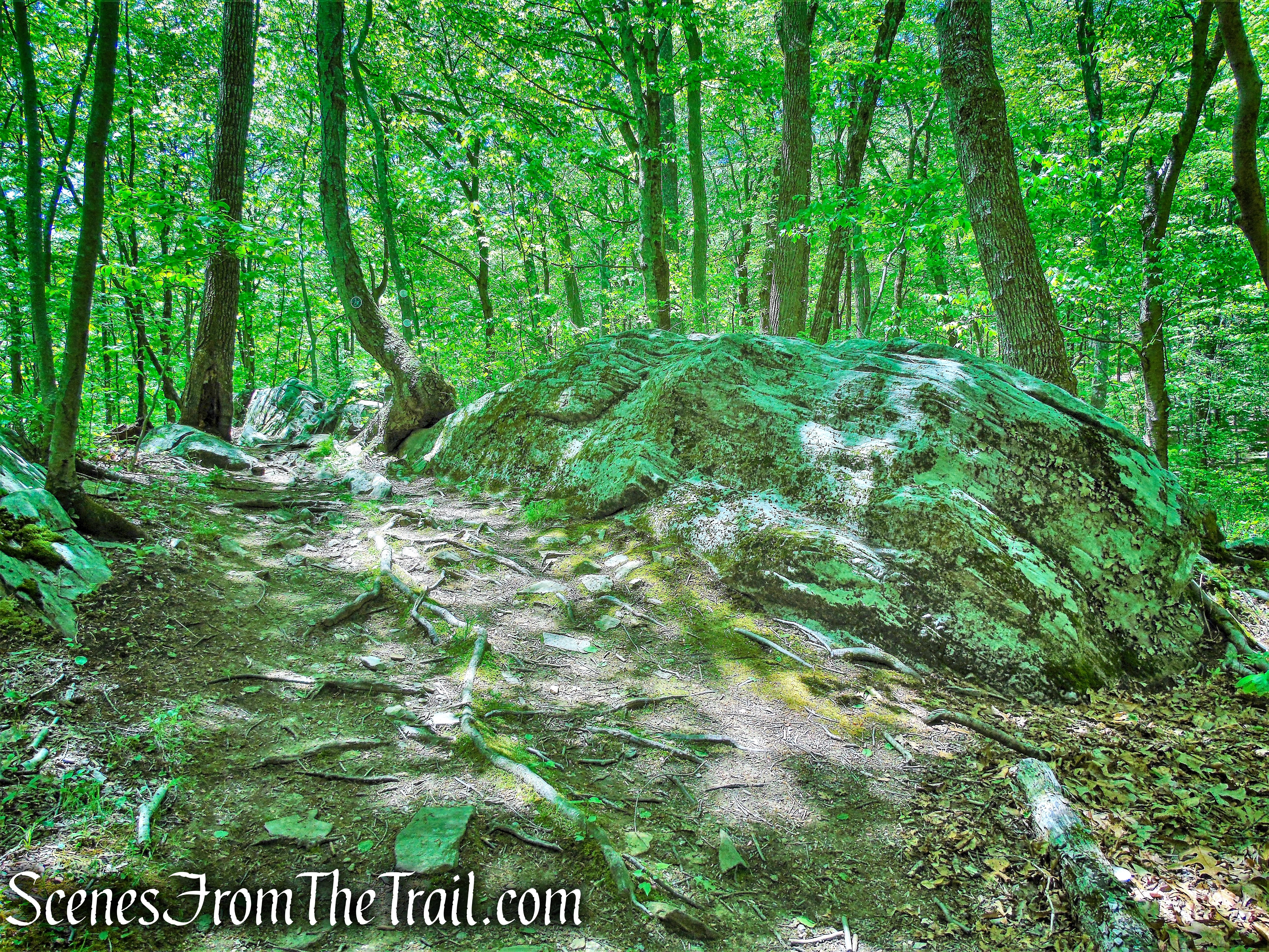 Southern Loop - Westchester Wilderness Walk