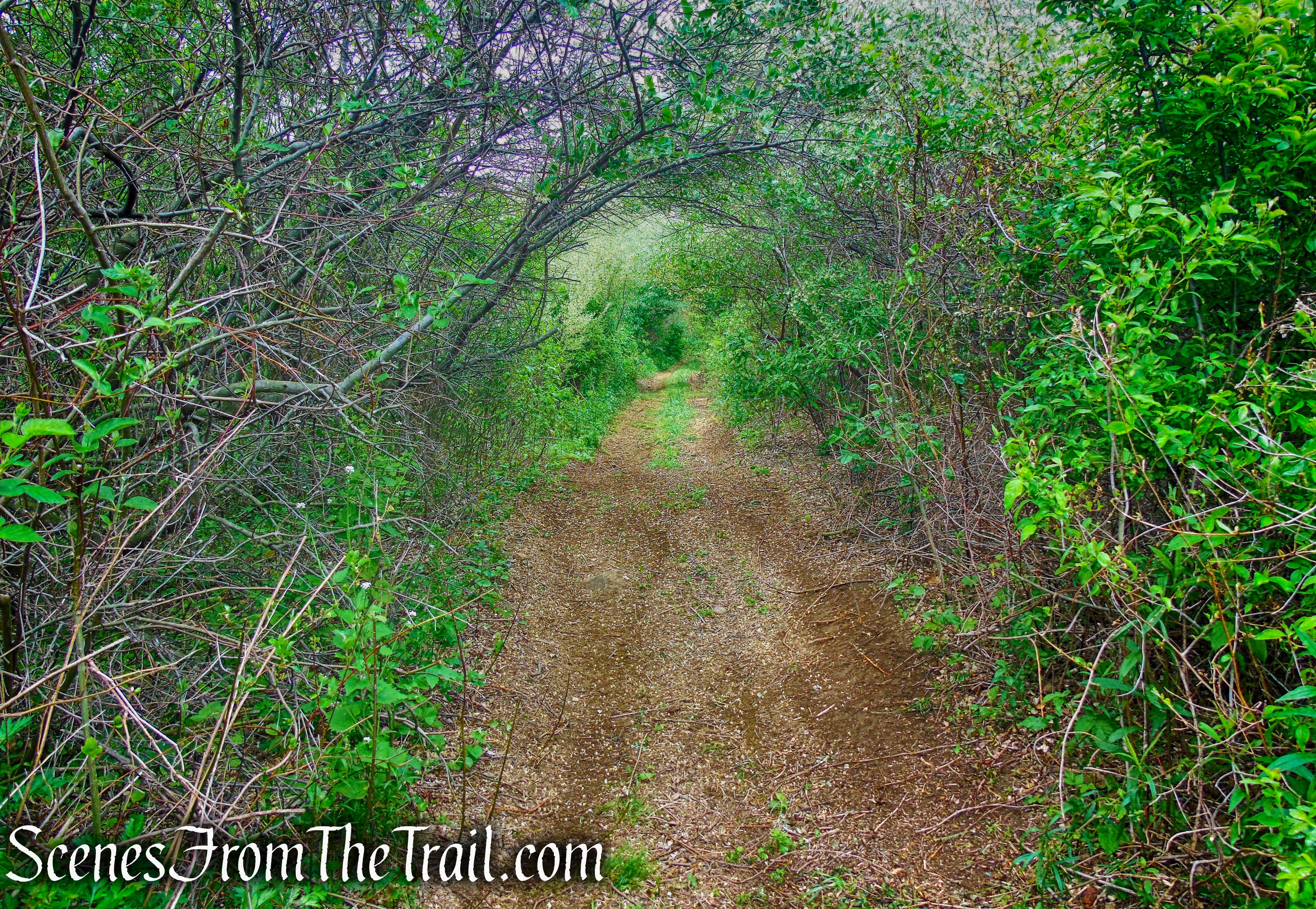 Donald J. Trump State Park – Indian Hill Section