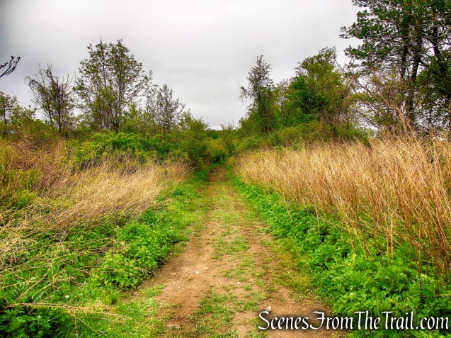 Donald J. Trump State Park – Indian Hill Section