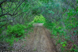 Donald J. Trump State Park – Indian Hill Section