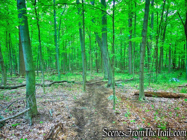 Donald J. Trump State Park – Indian Hill Section