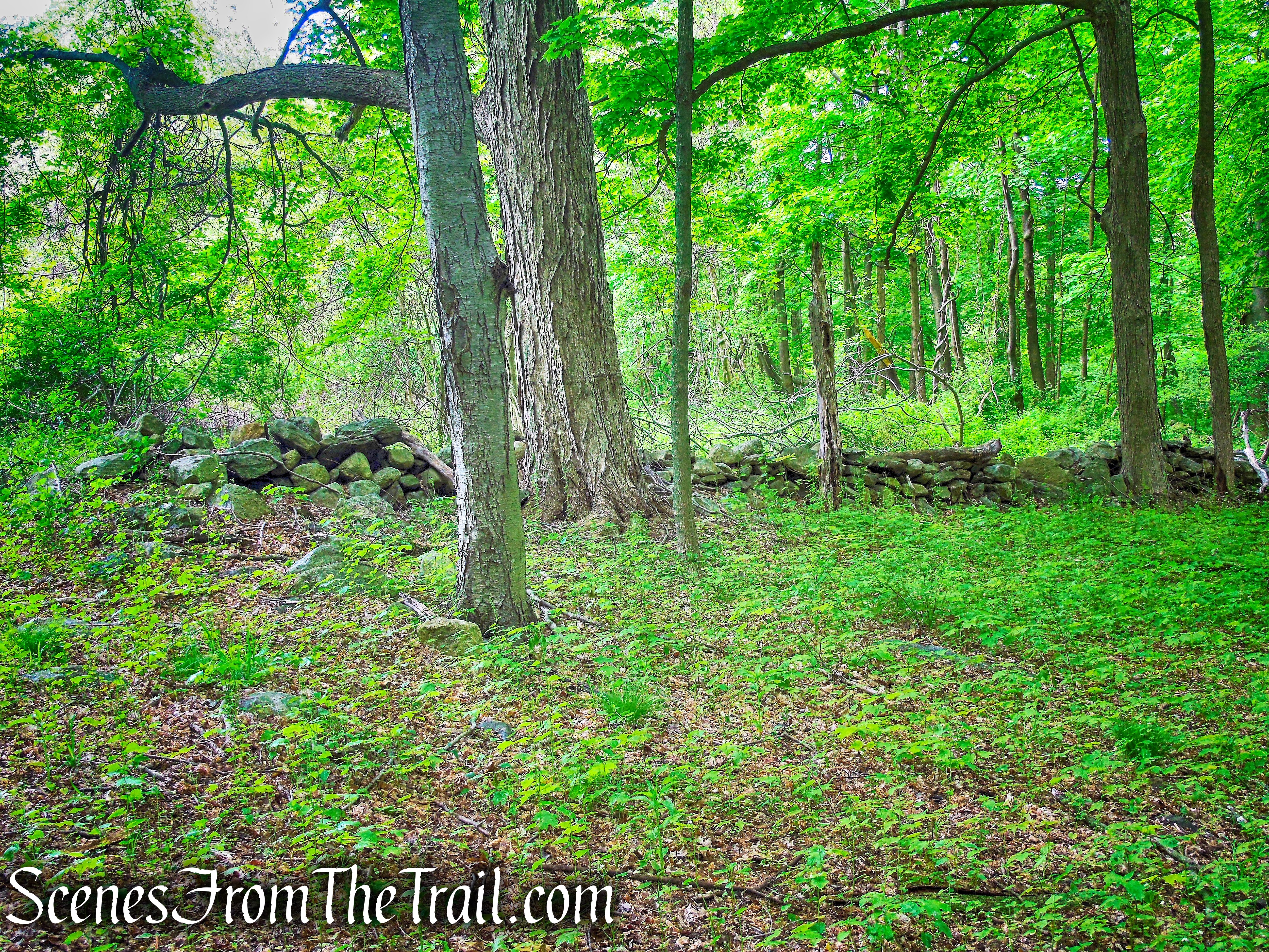 Donald J. Trump State Park – Indian Hill Section