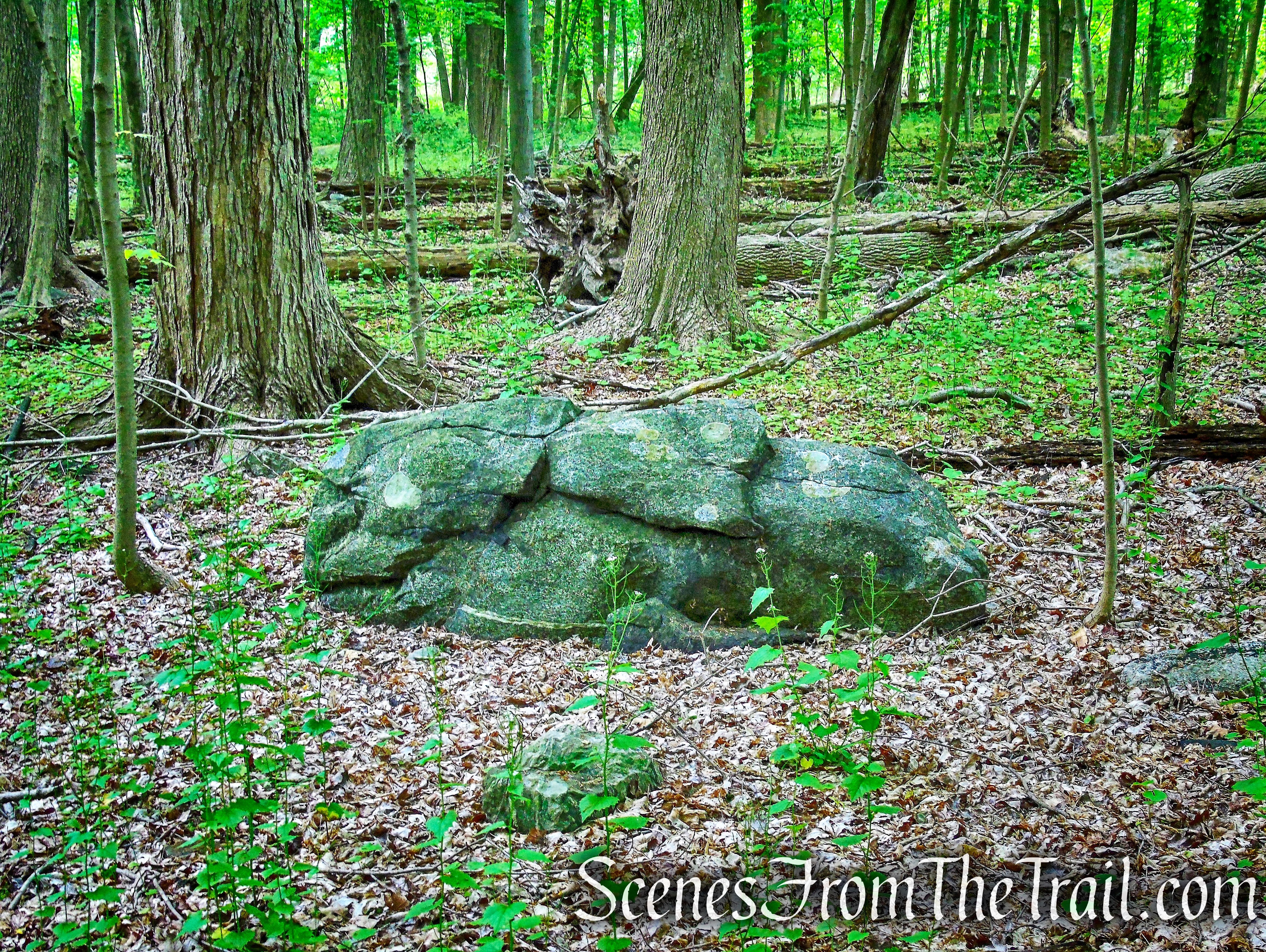 Donald J. Trump State Park – Indian Hill Section