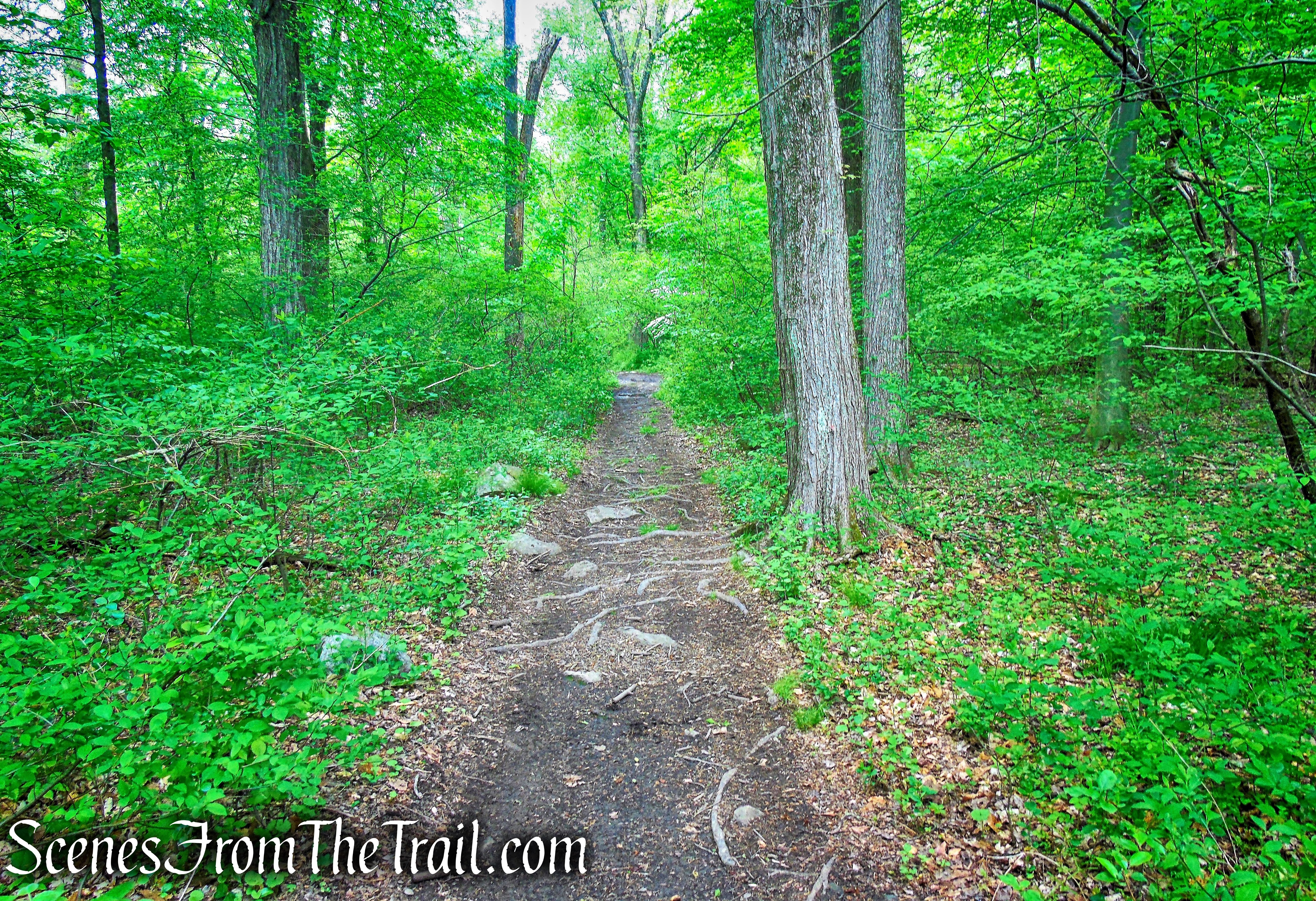 Donald J. Trump State Park – Indian Hill Section