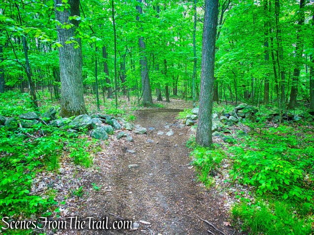 Donald J. Trump State Park – Indian Hill Section