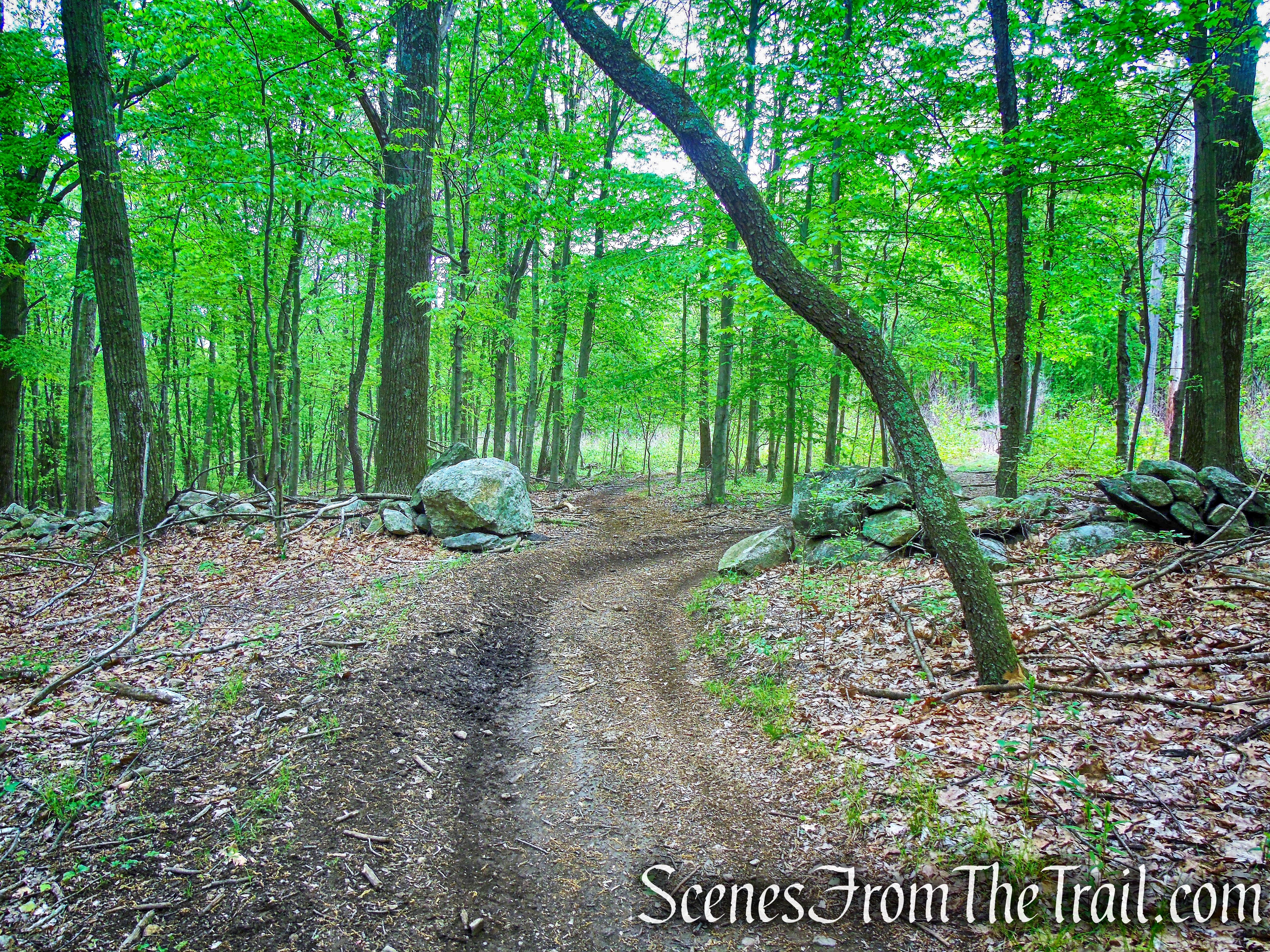 Donald J. Trump State Park – Indian Hill Section