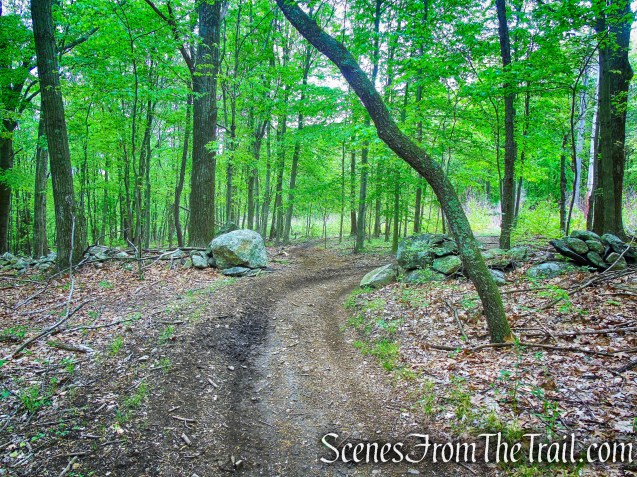 Donald J. Trump State Park – Indian Hill Section