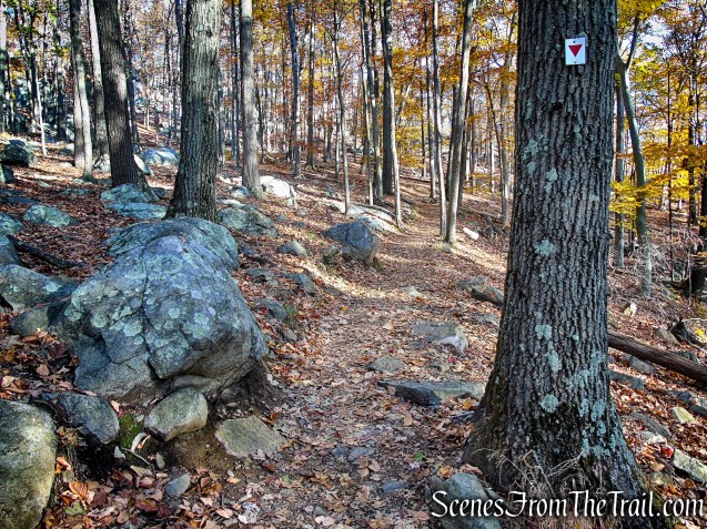 Arden-Surebridge Trail - Harriman State Park