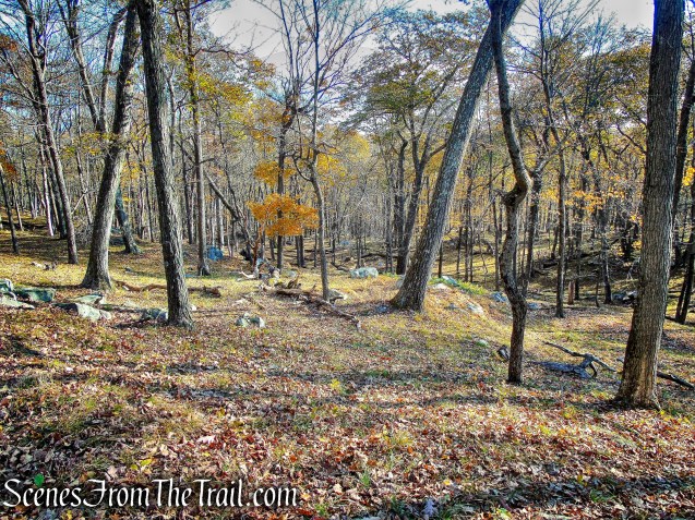 bushwack - Pine Swamp Mountain