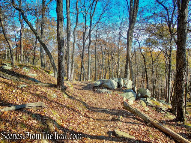 Arden-Surebridge Trail - Pine Swamp Mountain