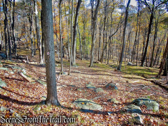 Red Cross Trail - Pine Swamp Mountain
