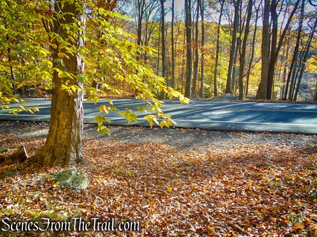 Red Cross Trail crosses Seven Lakes Drive