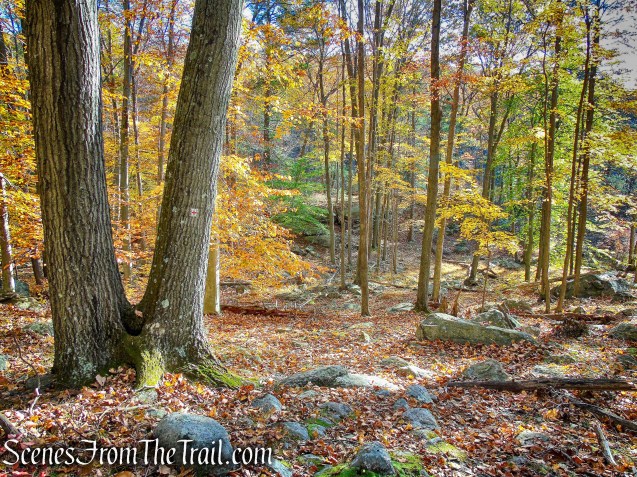Red Cross Trail - Harriman State Park