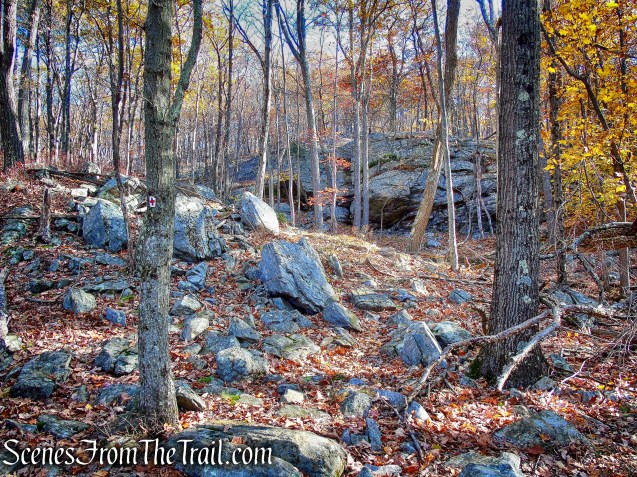Red Cross Trail - Harriman State Park