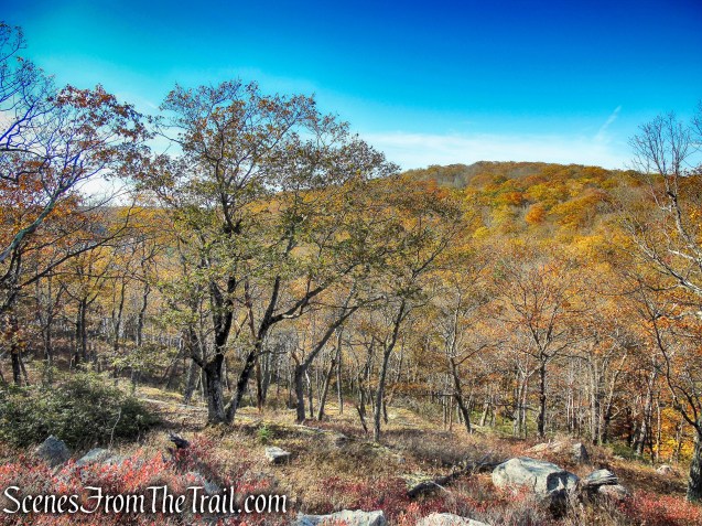 Red Cross Trail - Harriman State Park