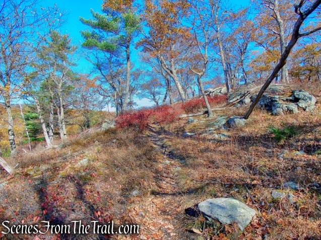 Red Cross Trail - Harriman State Park