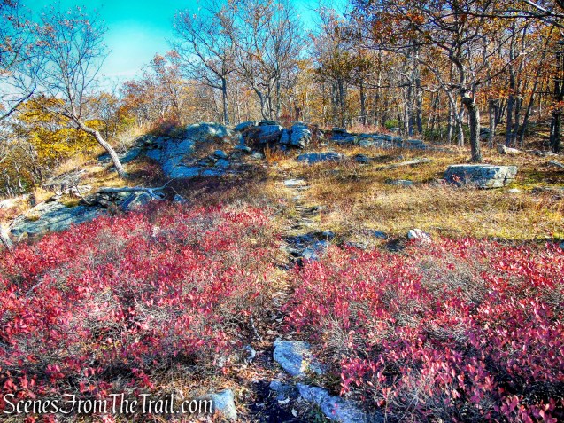 Red Cross Trail - Harriman State Park