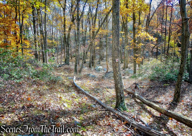 Red Cross Trail - Harriman State Park