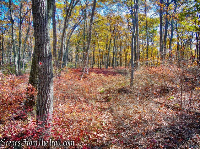 Red Cross Trail - Harriman State Park