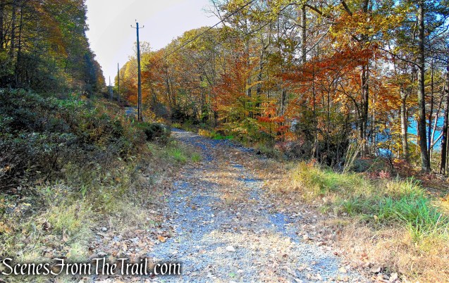 power line road - Lake Askoti