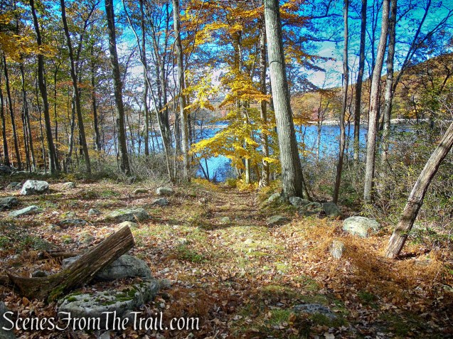 woods road - Lake Askoti