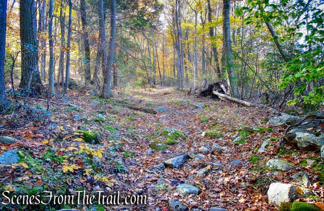 woods road - Lake Askoti