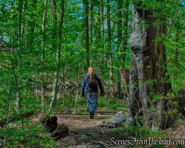 Silver Lake Preserve