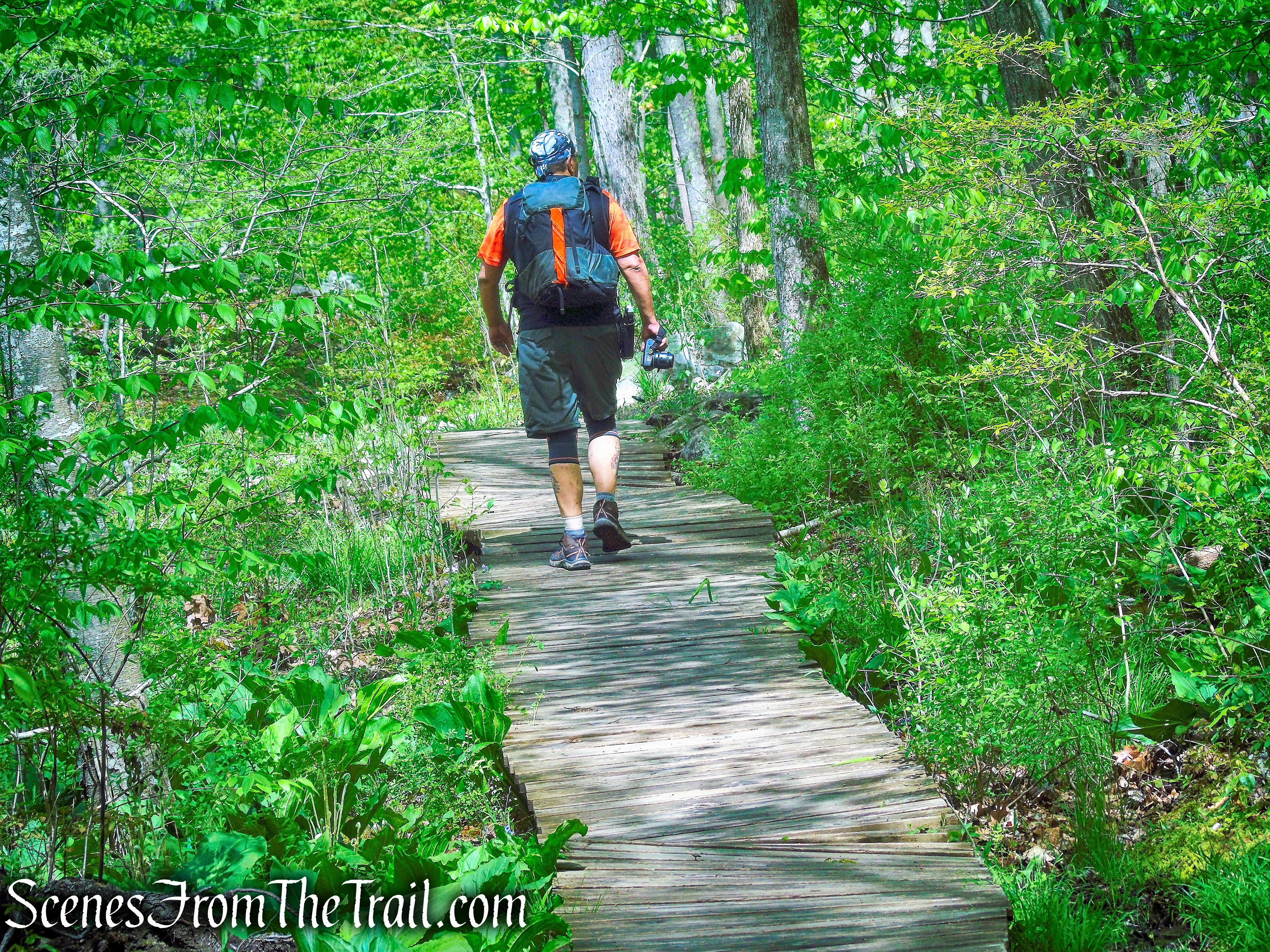 Northern Loop - Ward Pound Ridge Reservation