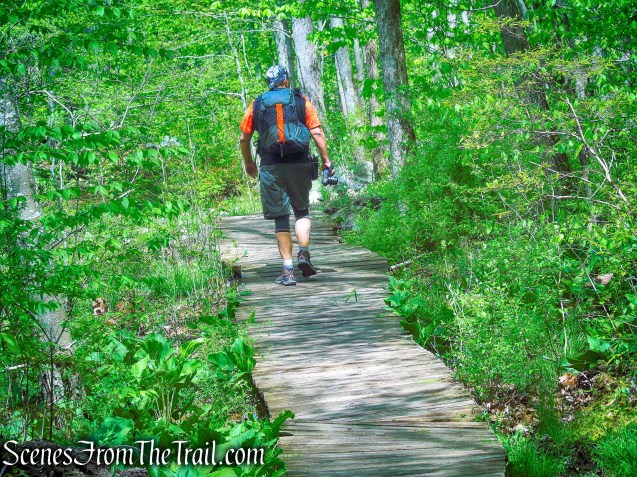 Northern Loop - Ward Pound Ridge Reservation