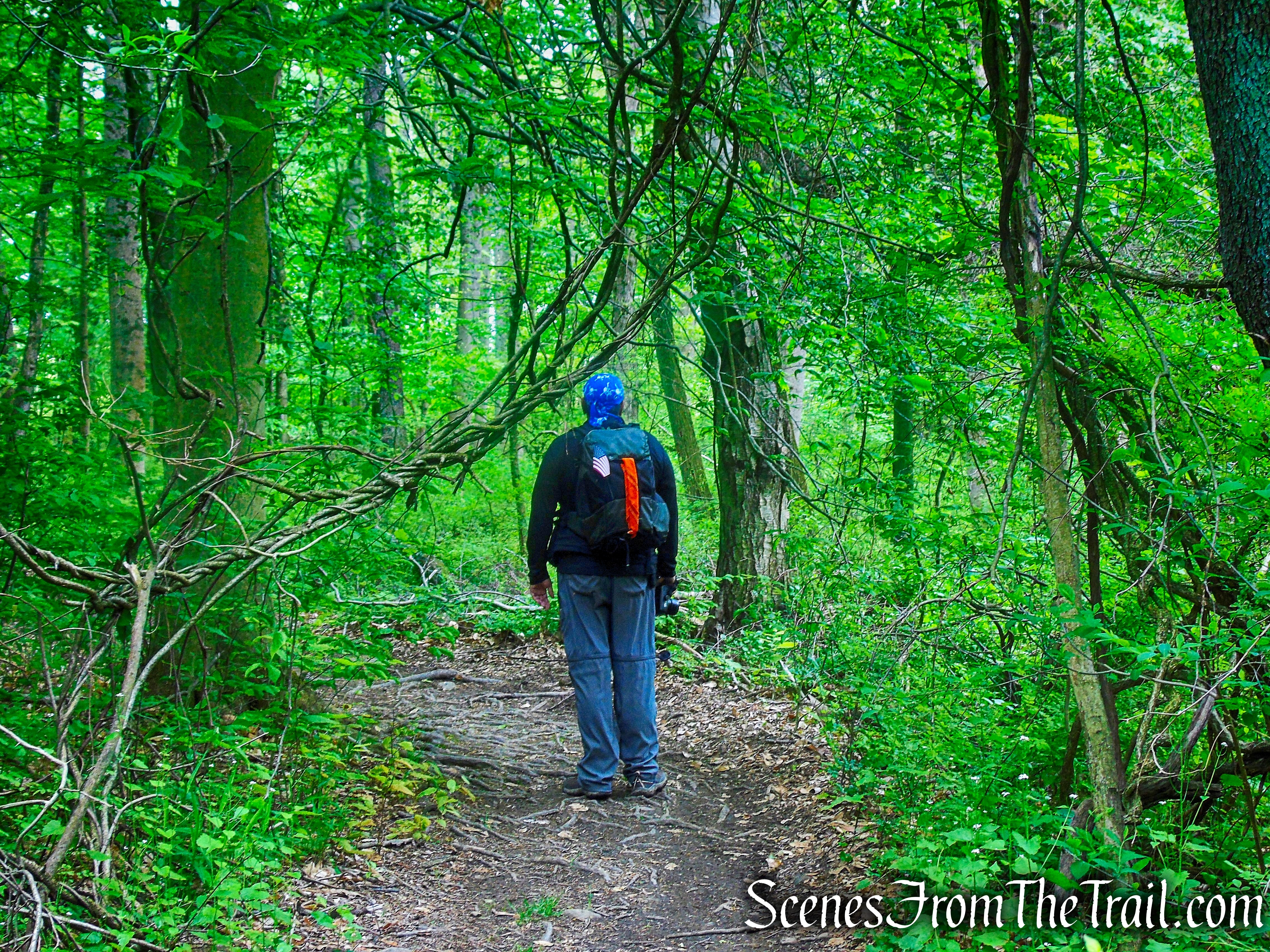 Donald J. Trump State Park – Indian Hill Section