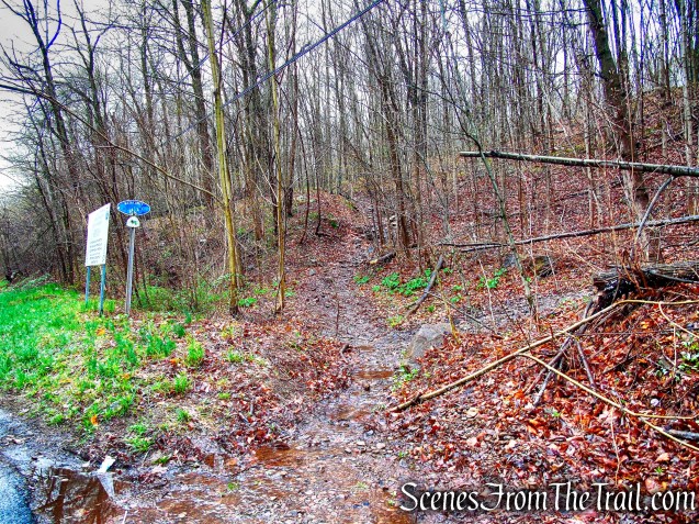 Metacomet Trail - South Mountain