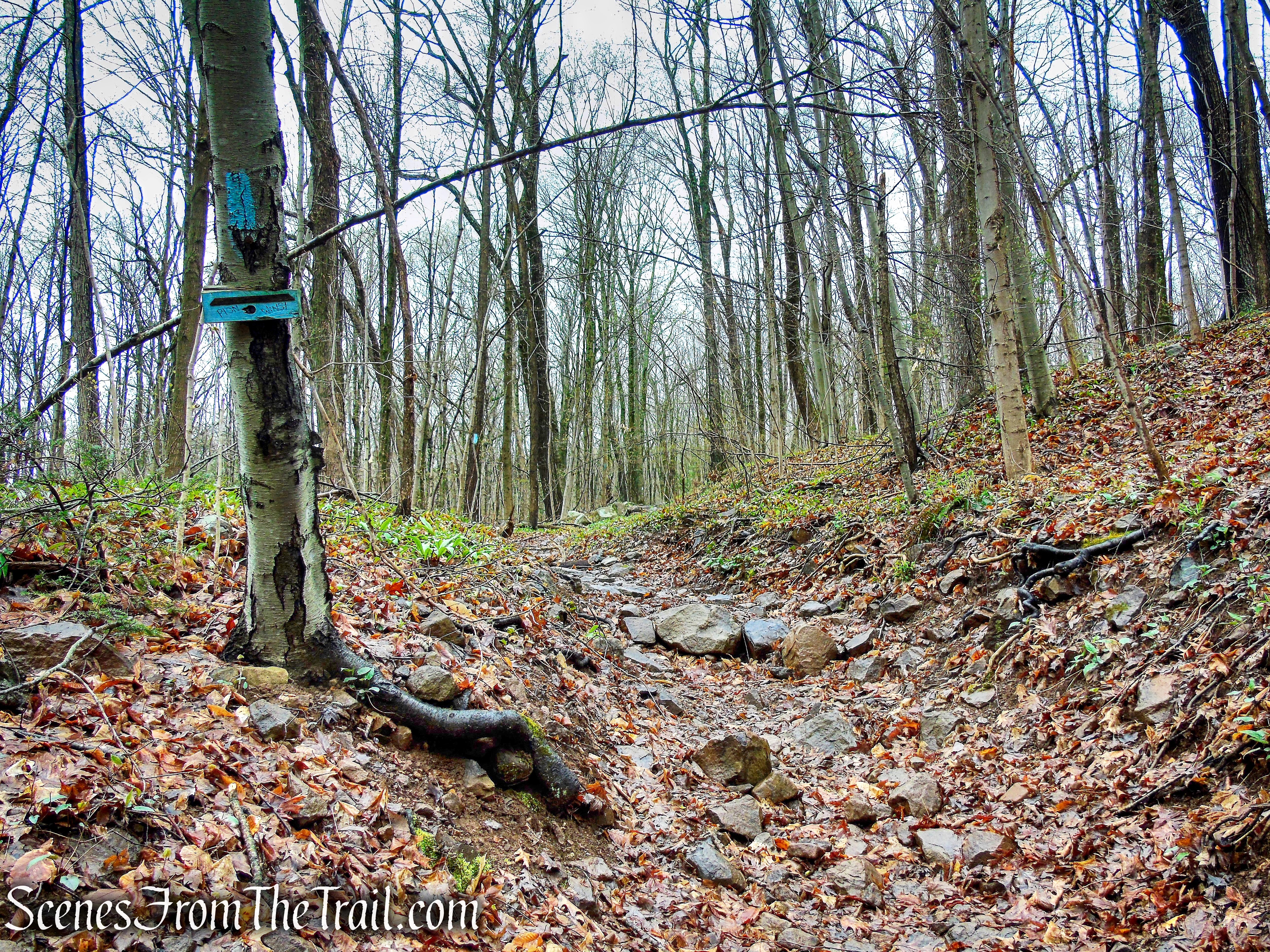 Metacomet Trail - South Mountain