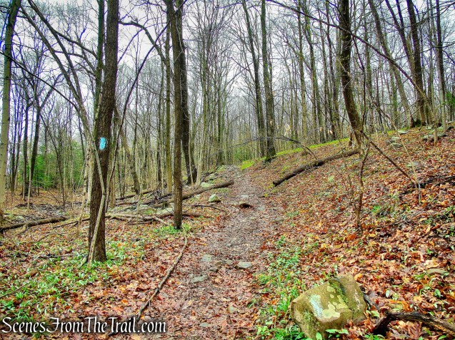 Metacomet Trail - South Mountain