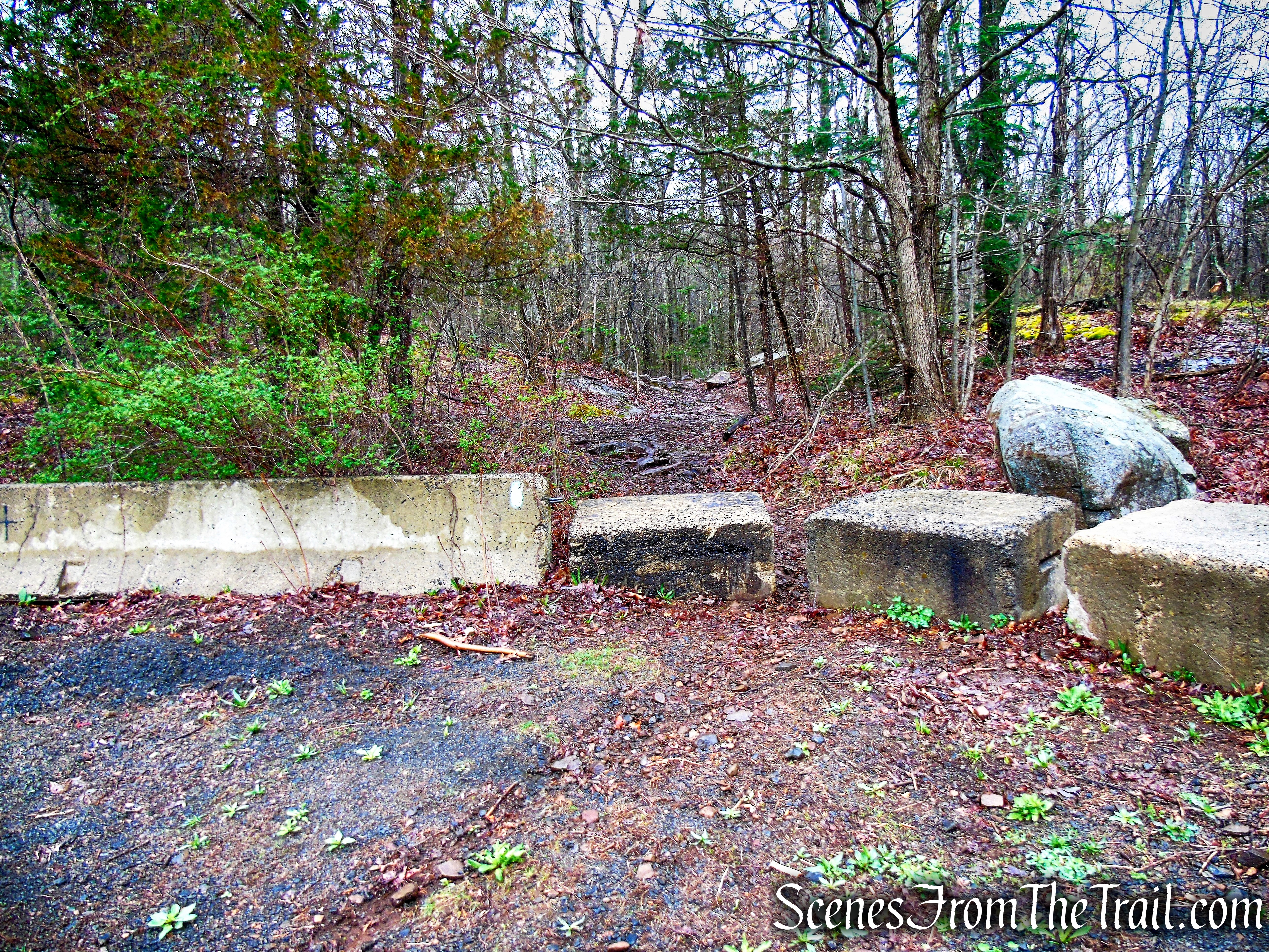 Metacomet Trail - South Mountain